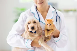 Paws and Care: Nurturing Fur Families with Veterinary Services in Aurora, CO